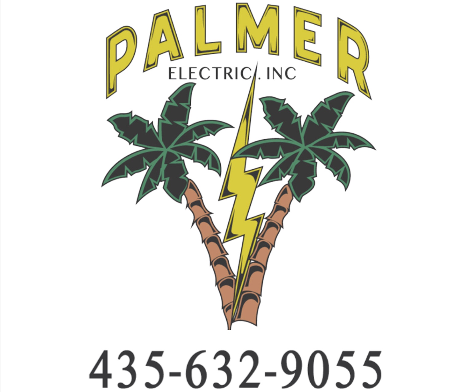 Palmer Electric Inc Logo